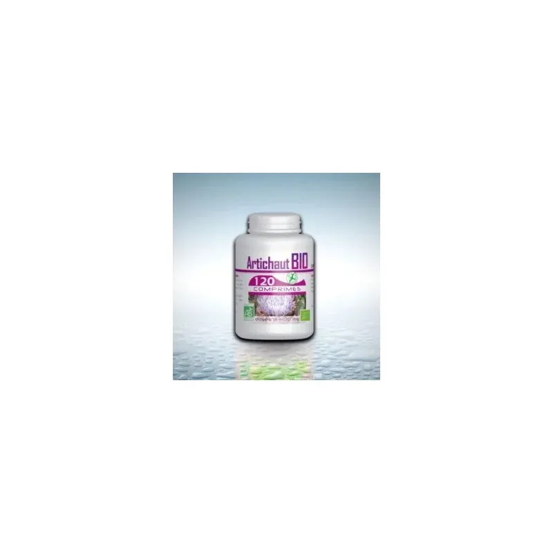 GPH DIFFUSION ARTICHAUT BIO 120 comprimés